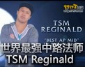 TSM Reginald ǿ·ʦ