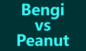 ǿSOLOIСBengi vs Peanut