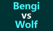 ǿSOLOIСBengi vs Wolf